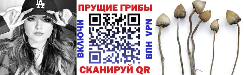 Псилоцибиновые грибы GOLDEN TEACHER  площадка какой сайт  Керчь 