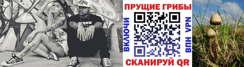 Псилоцибиновые грибы мицелий Керчь